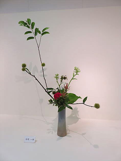 爽秋 前期30