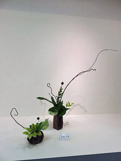 爽秋 中期作品3