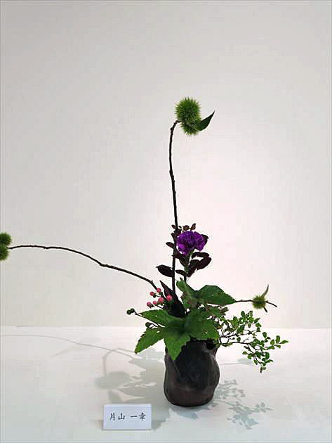 爽秋 中期作品4