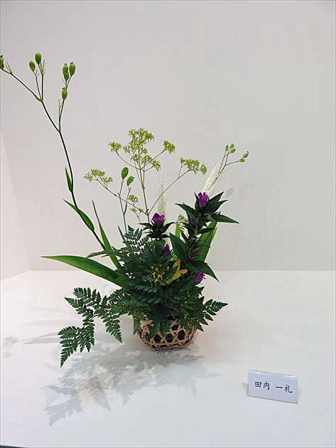 爽秋 中期作品11