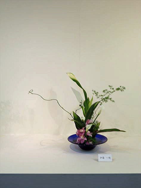 爽秋 中期作品14