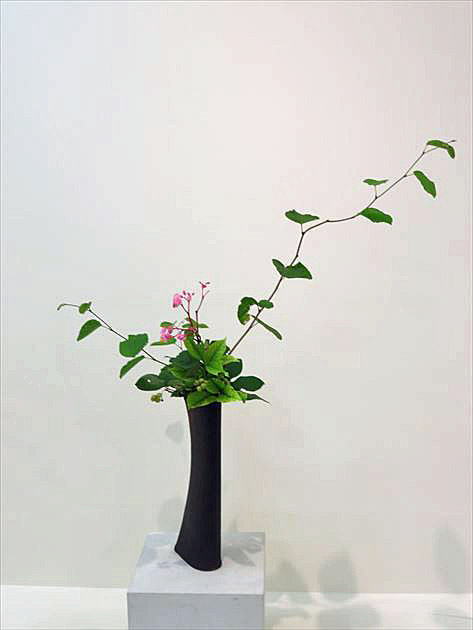爽秋 中期作品18