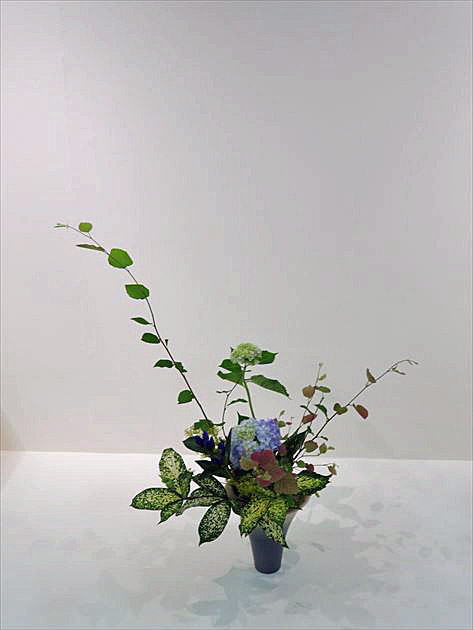 爽秋 中期作品20