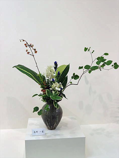 爽秋 中期作品23
