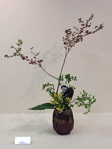 爽秋 中期作品25