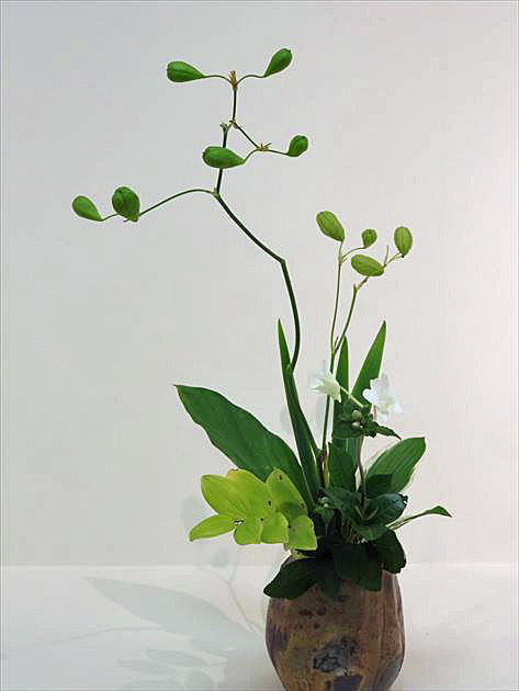 爽秋 中期作品29