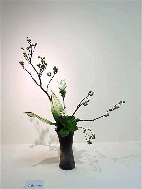 爽秋 中期作品30
