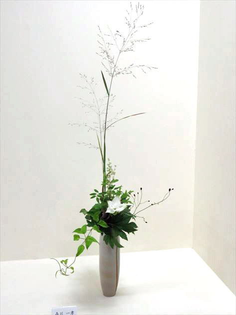 爽秋～後期作品16