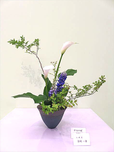 平成28年 春のいけばな展 士峰流 作品5