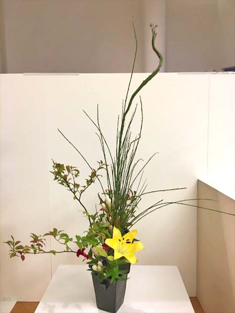 長野 一葉