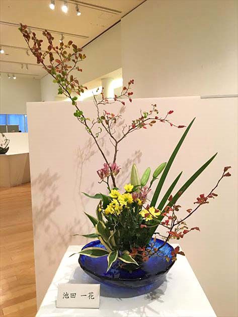 池田一花