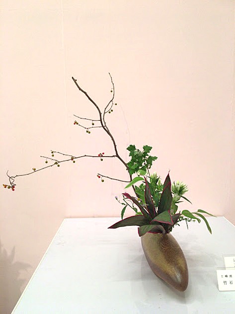 竹石一富
