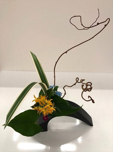 野村一巳 先生